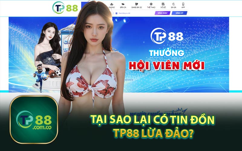 Tại Sao Lại Có Tin Đồn TP88 Lừa Đảo?