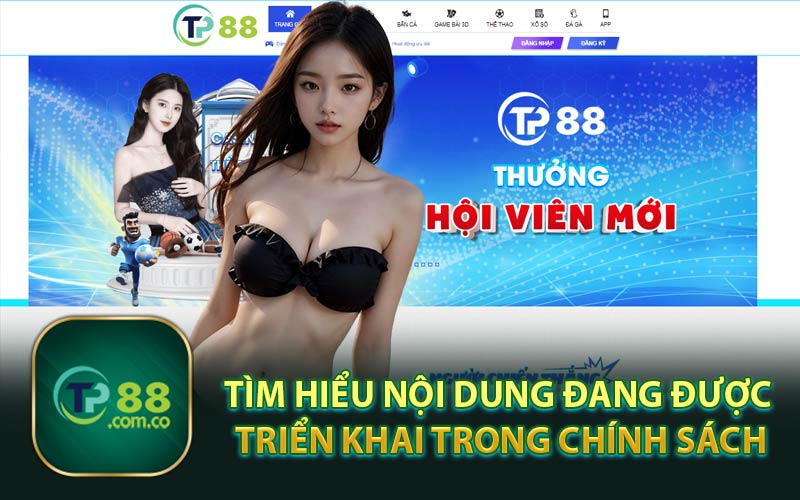 Tìm Hiểu Nội Dung Đang Được Triển Khai Trong Chính Sách